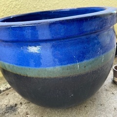 鉢　無料！の画像