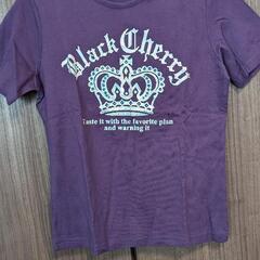 【新品】女性Tシャツ各種の画像