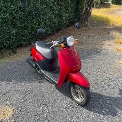 862.　動画あり　ホンダ　トゥデイ AF61 原付　バイク　50cc   車体の画像