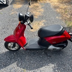 862.　動画あり　ホンダ　トゥデイ AF61 原付　バイク　50cc   車体の画像