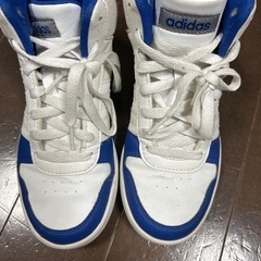 adidas スニーカー　22センチ