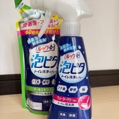 トイレ周り洗剤いろいろ（ドメスト,泡ピタ,重曹,コーティング剤）の画像
