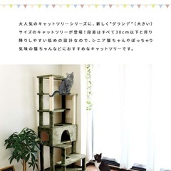（決定）シニア猫も使いやすいキャットタワー