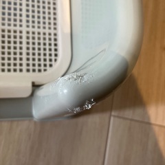 犬トイレの画像