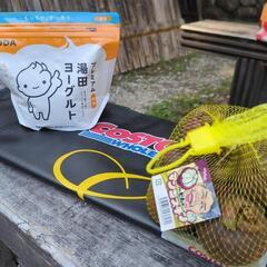 コストコ　試しに行きませんか☺COSTCO - 広島市