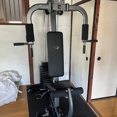 BODY MAKER ホームジムD X トレーニングマットセット