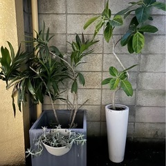 謝礼あり　総額/約¥36万円分】部屋ごと福袋の画像