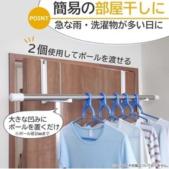 ドアハンガーフック2本入
の画像
