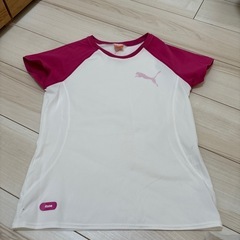 PUMA ゴルフウェア（春夏）の画像