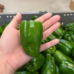 ピーマンの画像