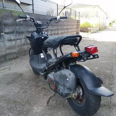 HONDA　ズーマー部品取り車　一時中止の画像