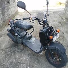 HONDA　ズーマー部品取り車　一時中止の画像