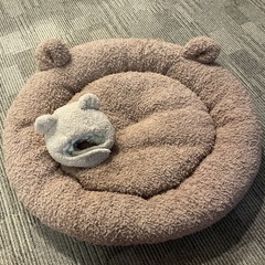 ジェラートピケ★ワンニャン用