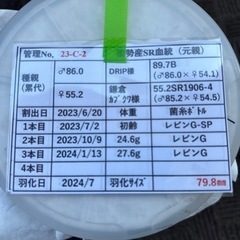 オオクワガタ　♂79.8mm ♀50.8mmの画像