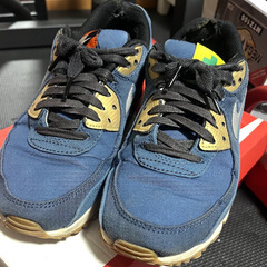 エアマックス90 プレミアム TOKYOの画像