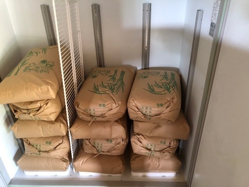 取引中　【好評残り1】令和5年　コシヒカリ　玄米　30kg