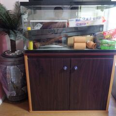 沖縄県の水槽台の中古が安い！激安で譲ります・無料であげます｜ジモティー