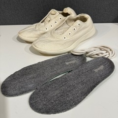 Allbirds メンズスニーカー24.5 
