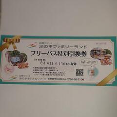 白樺リゾート　フリーパス券5枚