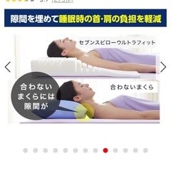 トゥルースリーパー　ダブルサイズの画像