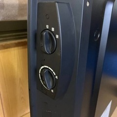 エスケイジャパン　電気ストーブ　SKJ-FG101MCの画像
