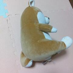 ぬいぐるみの画像