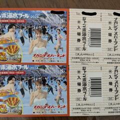 ナガシマジャンボ海水プール入場券2枚セット（大人）