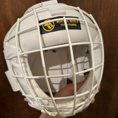 空手　格闘技用のミット等4点セットの画像