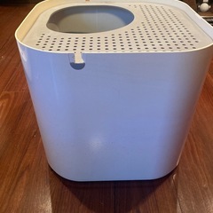 【8/4午前まとめて】ネコトイレの画像