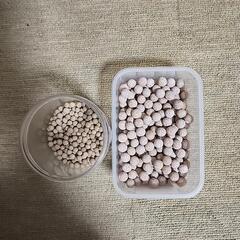 底砂いろいろの画像