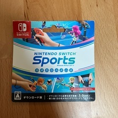 Nintendo Switch Sports
