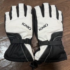 【取引先決まりました】スキーグローブとスキーゴーグルのセットの画像