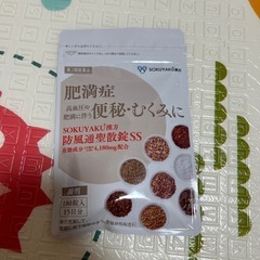 有名なダイエット漢方