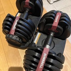 24kg可変式ダンベルとインクラインベンチセット