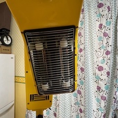 遠赤外線促進器　大広製ブーメラン の画像