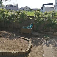 まきの木　紫陽花  ツツジ　ピンク や紫の花 等を無料てあげますの画像