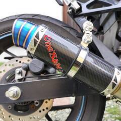 GSX250R ワンズアンドエム マフラー