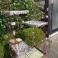 3000円にてお譲りします！使用歴の少ない、小型猫用室内ゲージ！キャスター付きの画像