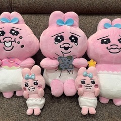 おぱんちゅうさぎ　ぬいぐるみ　5体セット