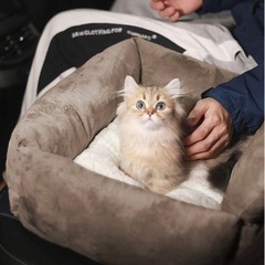 外出用車シートの画像