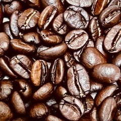 コーヒー豆の画像