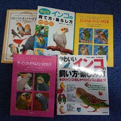 ペット 鳥 バード インコ コンパニオンバード コミュニケーション ペット教育 知識 最安 おすすめの画像
