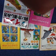 ペット 鳥 バード インコ コンパニオンバード コミュニケーション ペット教育 知識 最安 おすすめの画像