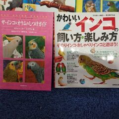 ペット 鳥 バード インコ コンパニオンバード コミュニケーショ...