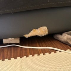 早い者勝ち！ソファ無料で差し上げます。の画像