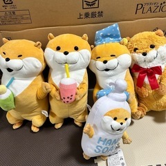 可愛い嘘のカワウソシリーズ①
