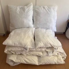 IKEA FJÄLLARNIKA フィエラルニカ 掛け布団 オー...
