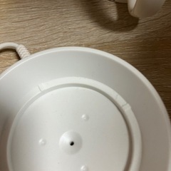 エステ ダイエット　ボニック　の画像