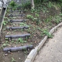 草抜き＆袋詰め
