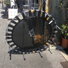 🌺トランポリン🌺の画像